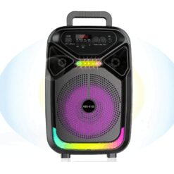 PARLANTE 8 PULGADAS RS-8105